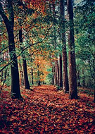 2020-10-11/e945f2773cf34b97dc43907f2ba0976b_9815e6edc9d7c3f6d5bb201ba62e5fff