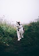 2020-10-12/2aaf59bf1ed9cce2016b0da540944eec_134c3644b0d5348ceac06d6566715118