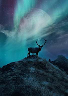 2020-10-12/793da754e1b3355f04adcf33da1b0773_1d2e56bf4cea03f2be74d230f9dd6f53