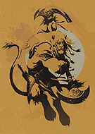 collection-preview-2