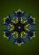 2020-10-24/b0f24f09495fe93383ae28f170314c15_3cb56b14846a79ba4e813bf40d5c2663