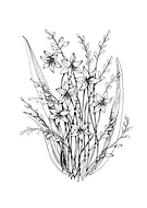 2020-10-26/4b96e78c3bca038dde93a0cd8c6231ca_627de8ba09faad03ef1ed400a44df3b5