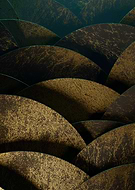 2020-10-27/da69579f9904f51beee208de26a23b09_6328f80cf9ec2aaeff4c22089919df67