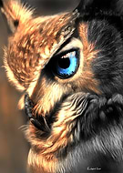 2020-10-27/e421f5d78ecb939185dc1758c928e387_367ff2d055686b3211b0d2b3f55d5e02