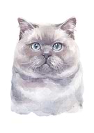 2020-11-03/2f6261dd9aa0e45af20d6f762c4924a6_39d5662d73f284b7eaa9b36bd12d2c65