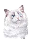 2020-11-03/53eaea69b402b9246df18f4e38bc63fb_20779cdb64ee2e2438c7bc78f13d7671