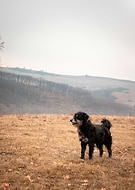 2020-11-08/9cfdc214f5b2dff5a49f892db1e16164_6b38e8798c6cf517e41c8f81a0c53f86