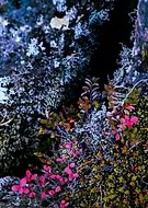 2020-11-10/6d8b2fd071a368800edd906c81319c5f_042fd6a9bd003d741f986caba2fb785c