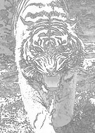 2020-11-19/0a0b68db1ea1b1573812e05b63eafc5c_d2a55f71abfb55aff57da38599da0d06