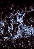 2020-11-19/33465e27ca331093f56f416a0e8c7dc1_04180fa10210532551ae4a1c6ea67129