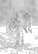 2020-11-19/9d23f252aedd8f542bb64daaff6bd1e2_dc75b102c2d00767dc8dea16c08c9d5d