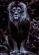 2020-11-19/d26e9af26f04f236f13157769a4da058_3217a34cf3d95e0d7769b4fb63e5983e