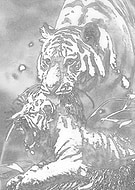 2020-11-19/e12095f77ad94538860c5a42f7a24a73_01dcd995423f1e8d8d235e623fc48e15