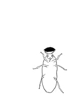 2020-11-20/45e357660810972e3e1499c74cae3444_0ea6ffc247cbba56b662d23e9e05bbee