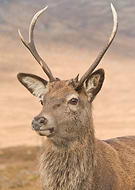 2020-11-20/6707b7754bff24083b07916be9eef016_5d40bce2406151a64ee15eb08463c954