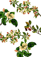 2020-11-22/7c063bba76a9c2e203eb99d4191ea996_9185764aeb65613b07362e088f5d10ba