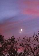 2020-11-22/8bc719e9e6d8977f73cf49c5dae0664e_69e0cc1aa7838782dba559481e0145e8