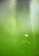 2020-11-23/920e344cc2ad82a1e06e768190d06101_85c1f5fd1ca6e51666c47f5404c50714