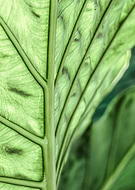 2020-11-23/9bce8752334b6e224670e3618d158f13_347ad4a06e5a23e26b54333a1f10de51