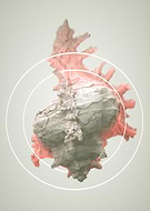 2020-11-24/d1c11e9819b4b03c9ff673e2da0e445b_62791e64df03dad02dc0e5aa6248b9dd