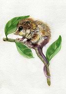 2020-11-26/e601fe2864185d725de832e2824bd3e4_85316704e00258726ef4bd0376e1c7a5