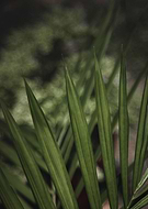 2020-11-27/647d5832c306f51c6cf9c7b56fb4971f_1412d066b2599c1dc5fe437295e763a4