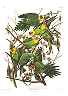 2020-11-27/d73e27491106a2d896684006781e254e_48300c12a8ad930e75595ddcb6ab40b0