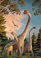 2020-11-30/036bd07bd084024254edba252e2daae4_f80432dcc37373a8440685a1fe1ac44b