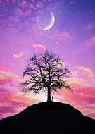 2020-11-30/2c04136ff7635130c44ef65e80343200_2eb890b7c557eace0528e24fe471e56c