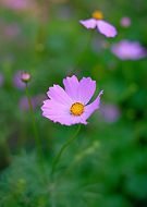 2020-12-01/bc0441177f1672077e9cdf4457ec6ea9_e515a13752ba80555ca65d543cbebd83