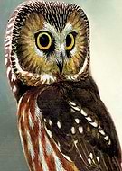 2020-12-04/de2a41037f81568ae3ff56ae23835a70_780ec93de3b725e5cd78c464aab0b900