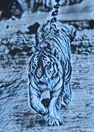 2020-12-07/6662c8b8dffc021a94f3e110c607e5a3_b69648f5d1f1bc119de0fba971ebb044