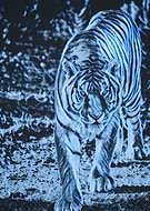 2020-12-07/ebf35cdb29e1e85466bda0d346eb2723_2715d2379c17c44d44258e6e0ebc6bd9