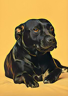 2020-12-14/10a6fca1c507703884c96fa0df306aca_1be52c1dd0067094b9a77d40bd465362