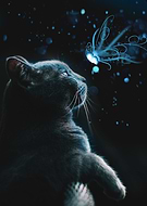 2020-12-14/7649631d0b0e491bca05587a9adbfa32_217fbabd7e3a0f16834bc4df68b0bbdc