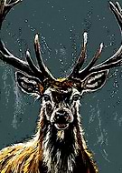 2020-12-15/d702923a485a77c6e94bcc0a0c2a70d0_509229aa24c981cefbedf3b6bb09f727