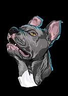 2020-12-21/321f92d8c2ef11bfd0c45175951a960e_7436c00c22b40e755dab96d3bcb0345c