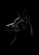 2020-12-21/3556d21905e455b7260b5a9812988bd5_5af99a3a47a4dd8ce7b158a33a712367