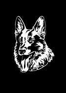 2020-12-21/7f5a53a56503f1c2302248b5c8bf8fd6_3f47436cdd136bff03b00bd41905c39d