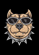 2020-12-21/a423611d2f3ddec98a8c906662405c15_c0103e927e7f8126771aaa84f5e7338b