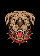 2020-12-21/c2ad686307e9956279988c9f2904a6a2_d3f6641470c8fc8b8639e3cc0698c3a6