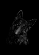 2020-12-21/e59778fe5cb10d7baade646b2805433b_4d62a7379b403356150b8d8dd4b478ef