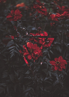 2021-01-02/b478757e33ee7bfaa431ac38b3faac4d_f5b5983801eeb8fe3e38b51f814d8ca5