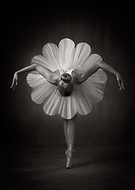 collection-preview-2