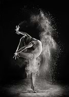 collection-preview-1