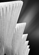 collection-preview-1