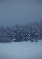 2021-01-11/b8a18b56c7edfc03649ecc2d590932f4_acecc6f68f9e99275b24dd1695fb43e9