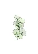 2021-01-13/fa82f9cc75719080df572ac7f984fcd1_36edef352db389700510c07d035eaeb9