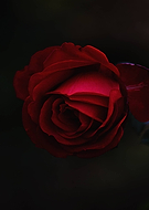 2021-01-15/38bada25ed21ef4043de7a3d687ea744_0bfbe57c037904f8c0bf00aa3a95915f