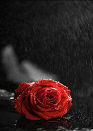 2021-01-15/3bc0c69b55777d7510eb28ae354e1e01_a29a58ac5ef567cb3f4f47ed6f76fa95